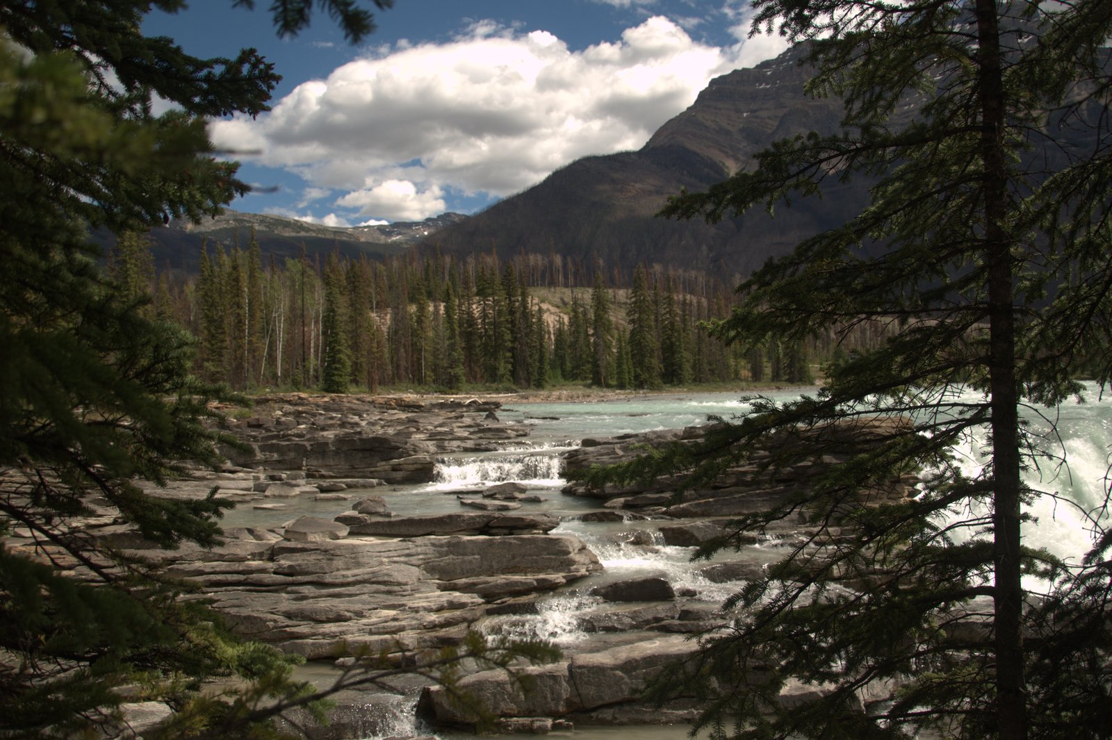 A rocky riverbed and falls framed by pines